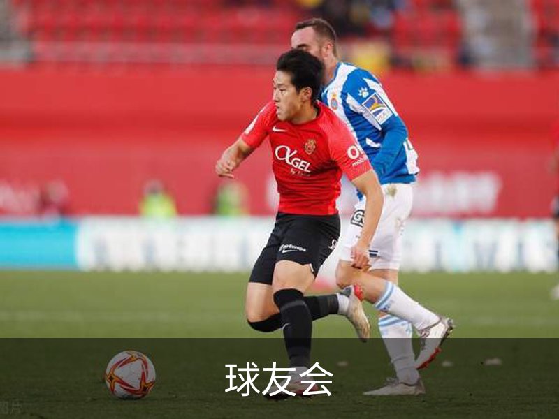 球友会简介